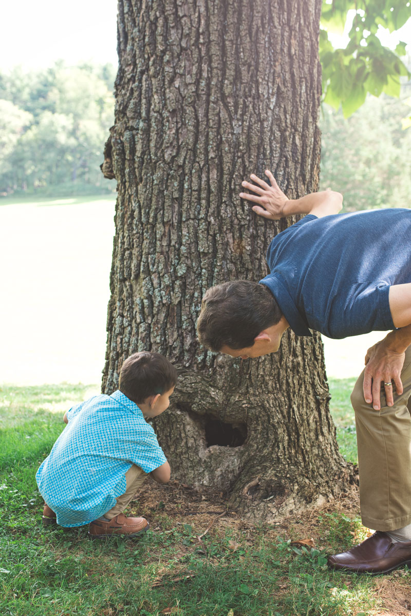BLOG // Fall family session in Rockville