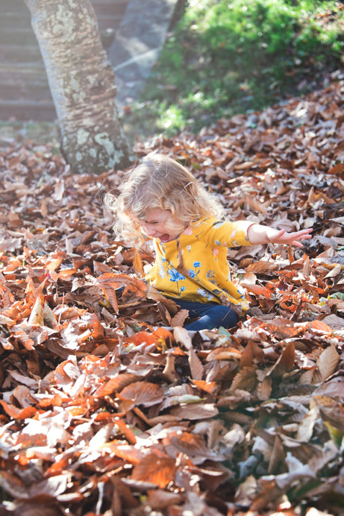 BLOG // family session at Glenview Mansion