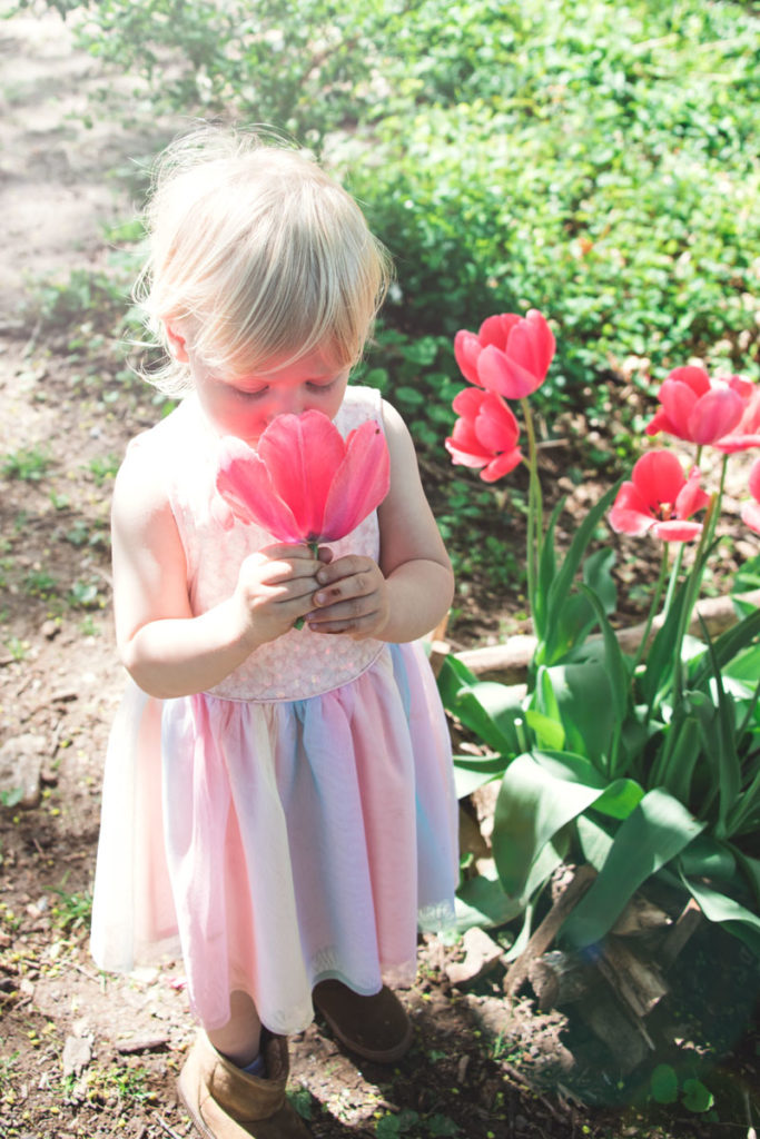 BLOG // family session in Adams Morgan